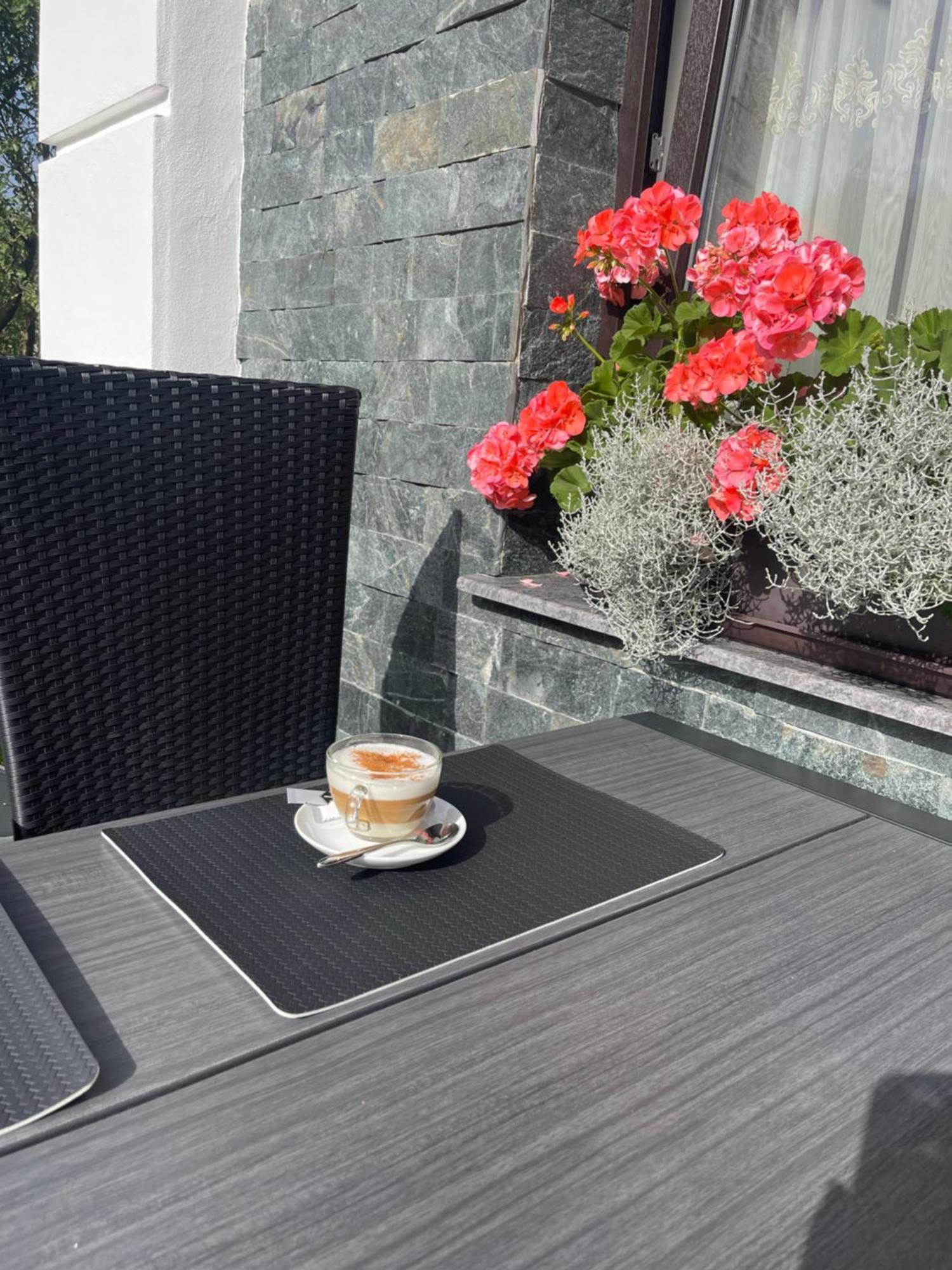 Piatra Codrilor Hotel Dorna-Arini Kültér fotó