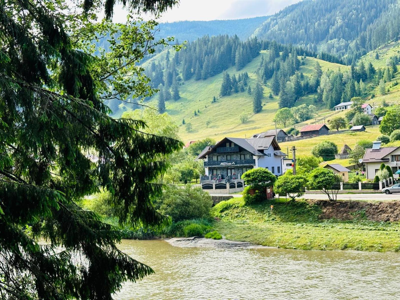 Piatra Codrilor Hotel Dorna-Arini Kültér fotó